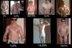 bodyfat-chart-by-Dimik.jpg