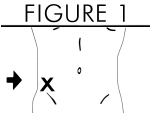 fig1.gif