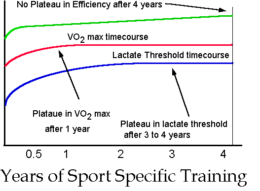 Performance-ResultsOverTime.gif